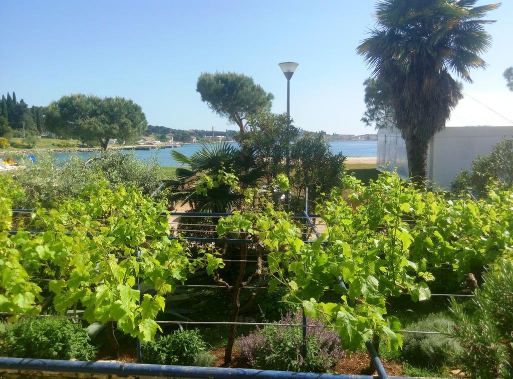 Linea Mare Apartment Rovinj Exteriör bild